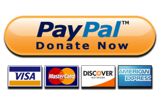 PayPal-Donate-Button-High-Quality-PNG